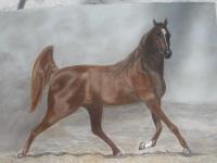 Joaquin - Pastel Oleo Paintings - By Cristina Sanchez, Realismo Painting Artist