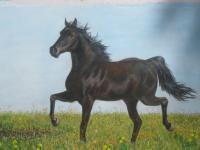 Horses - Black In The Field - Pastel Oleo