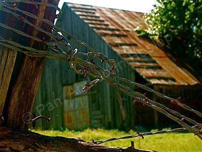 Rural Reflections - Forgotten Fences - Digital Photography