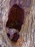 Cavernous Curiosity - Digital Photography Photography - By Pam And John Heslep, Realism Photography Artist
