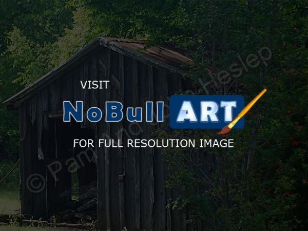 Rural Reflections - Shack In The Shinery - Digital Photography