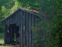 Rural Reflections - Shack In The Shinery - Digital Photography