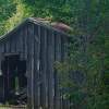 Shack In The Shinery - Digital Photography Photography - By Pam And John Heslep, Realism Photography Artist