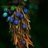 Digital Photography - Pam And John Heslep - Realism Photography Artist