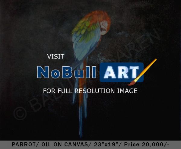 Parrot - Parrot - Oil On Canvas