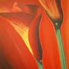 Graceful In Red - Acrylic Paintings - By Jeff Wilder, Nature Painting Artist