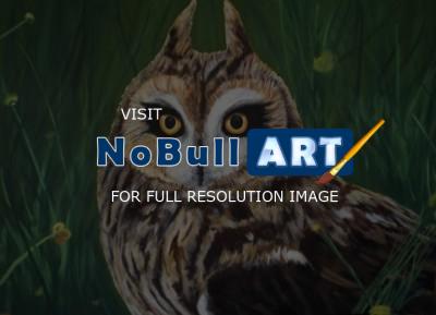 Animal - Horned Owl - Acrylic