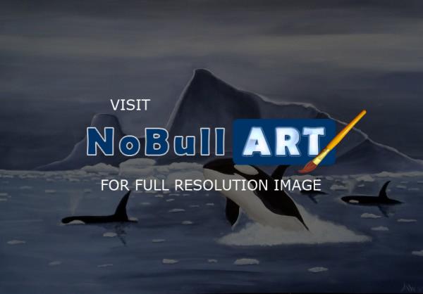 Animal - Orcas And Ice - Acrylic