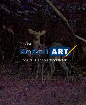 Nature - Deer In The Wood - Digital