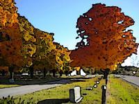 Fall Cemetery - Digital Photography - By Angela Nhu, Impressionist Photography Artist