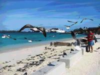 Seascape - Feeding The Birds - Digital