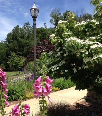 Nature - Garden Lamp Post - Digital Photograph