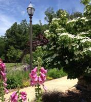 Nature - Garden Lamp Post - Digital Photograph