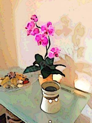 Still Life - Orchid Shadow - Digital