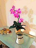 Orchid Shadow - Digital Photography - By Angela Nhu, Impressionist Photography Artist