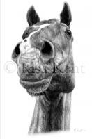 To The Sky - Add New Artwork Medium Drawings - By Risa Kent, Realism Drawing Artist