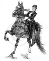 2003 - Saddlebred Commission - Graphite