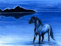 Blue - Colored Pencil Drawings - By Risa Kent, Equine Drawing Artist