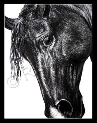 2004 - El Regio - Charcoal