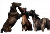 Bachelors - Pastel Drawings - By Risa Kent, Equine Drawing Artist