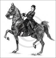 Saddlebred Commission II - Graphite Drawings - By Risa Kent, Realism Drawing Artist