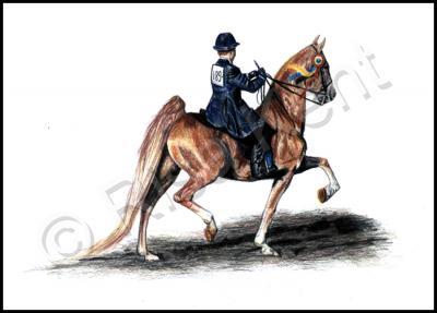 2004 - Saddlebred Commission III - Colored Pencil