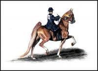 Saddlebred Commission III - Colored Pencil Drawings - By Risa Kent, Realism Drawing Artist