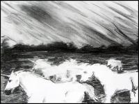 2004 - The Flight Of The Unicorn - Charcoal