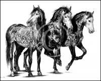 We Three Spaniards - Graphite Drawings - By Risa Kent, Realism Drawing Artist