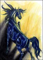 Blue Black And Gold - Colored Pencil Drawings - By Risa Kent, Equine Drawing Artist
