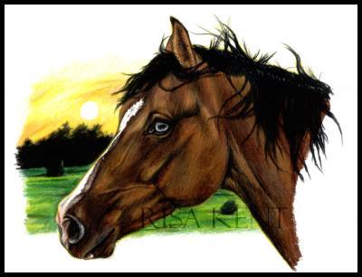 2005 - Blue-Eyed - Colored Pencil