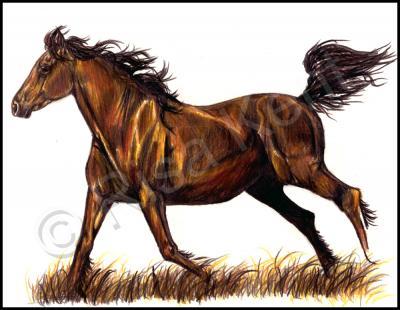 2005 - Autumn Gallop - Colored Pencil