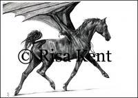 Dragon Horse - Graphite Drawings - By Risa Kent, Equine Drawing Artist