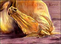 Amethyst Sand - Pastel Drawings - By Risa Kent, Equine Drawing Artist