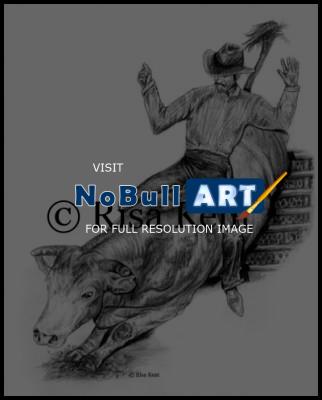 2006 - Bull Rider - Graphite