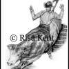 Bull Rider - Graphite Drawings - By Risa Kent, Realism Drawing Artist