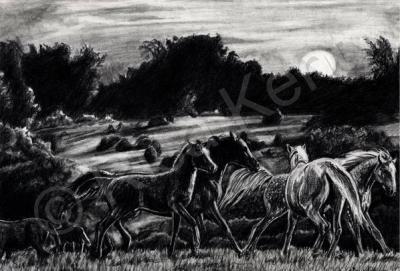 2006 - Morning Mares - Graphite