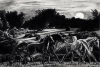 2006 - Morning Mares - Graphite