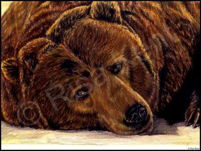 2006 - Nap - Colored Pencil