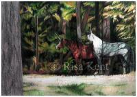 Out Of The Woods - Colored Pencil Drawings - By Risa Kent, Equine Drawing Artist