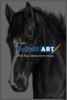 2006 - Prior - Graphite
