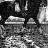 Winter Workout - Pen And Ink Drawings - By Risa Kent, Equine Drawing Artist