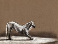 Finale - Charcoal Drawings - By Risa Kent, Equine Drawing Artist