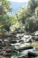 Along The Hanakapiai Trail - Acrylics Paintings - By Mark Obryan, Realism Painting Artist