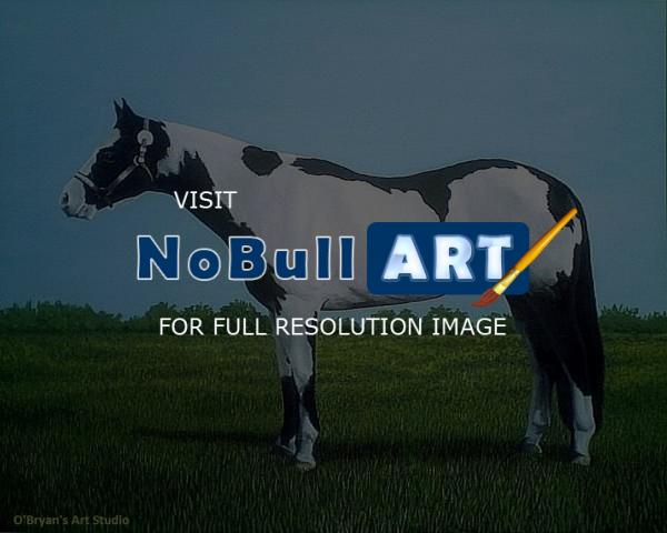 Paintings - Show Horse Portrait - Acrylics