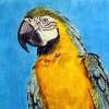 Squawk - Marker Mixed Media - By Allen Palmer, Realism Mixed Media Artist