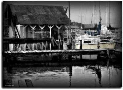 Amys Cusotm Black And White Ph - The Dock  Black And White - Digital