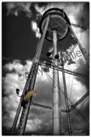 Looking Up - Digital Photography - By Amy Mcmullen, Fine Art Photography Photography Artist