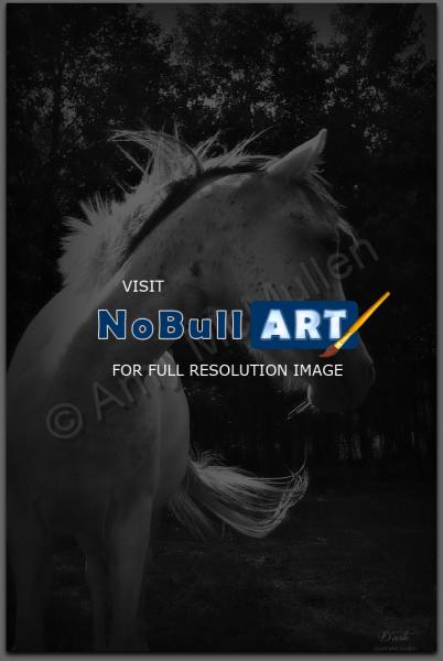 Il Cavallo La Raccolta  Horse  - Cavallo Bianco White Horse - Digital