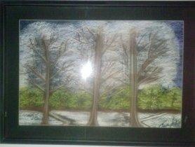 Pastel Colors - Winter Forest - Pastel Colors